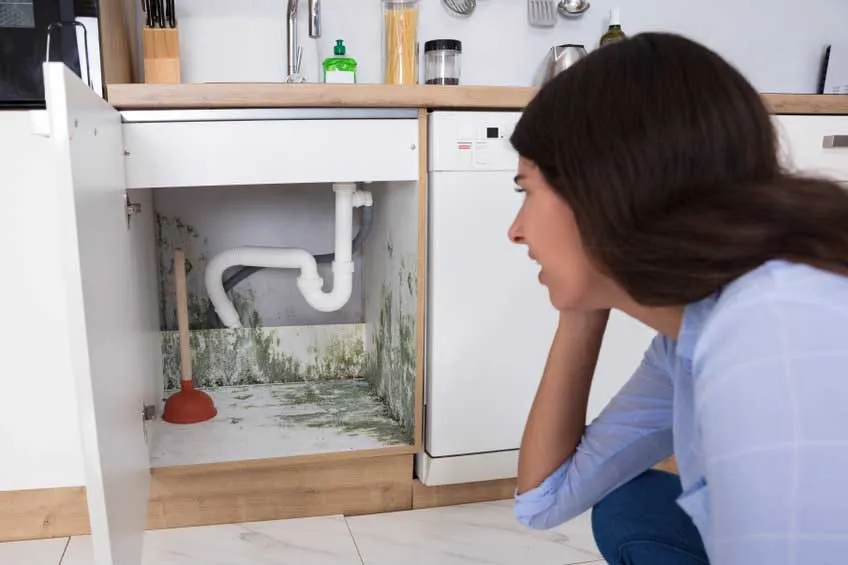 Signs to Replace Your Main Water Line
